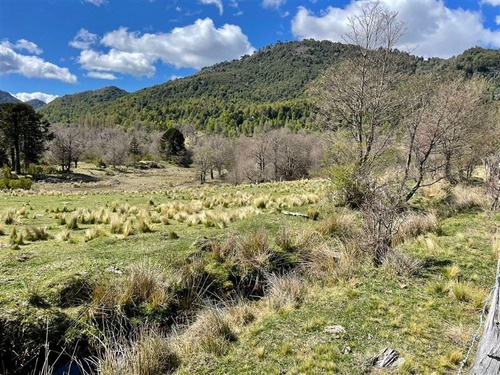 Terreno De 5.000 M2 Camino A Termas Malalcahuello