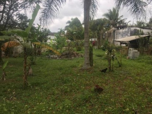 Imagem 12 de 14 de Chácara No Litoral Com 05 Dormitórios Em Itanhaém/sp