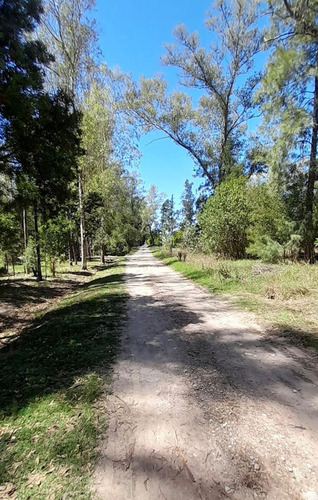 Venta De Terreno En El Barrio Los Bosquecitos