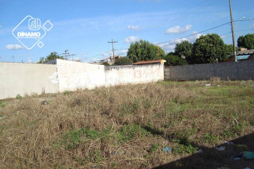 Terreno Comercial Venda E Locação, Ipiranga, Ribeirão Preto/sp - Te0412