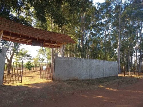 Imagem 2 de 6 de Venda De Rural / Chácara Na Cidade De Araraquara 10439