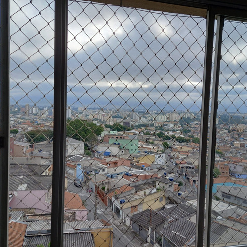Imagem 12 de 16 de Apartamento À Venda 3 Quartos Na Vila Palmares Em Santo André. - Ap00201 - 70409748