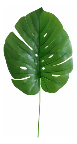 Hojas Monstera Costilla De Adan Xl Con Varilla 84 Cms