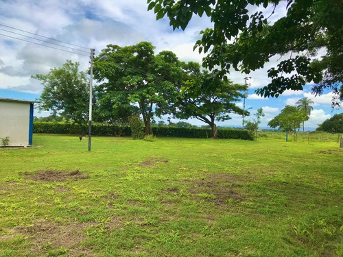 Imagen 3 de 19 de Finca En San Carlos Cojedes, Venta De Finca En San Carlos