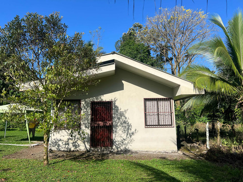 Su Hogar En Un Paraíso Natural Con Río Y Vida Silvestre