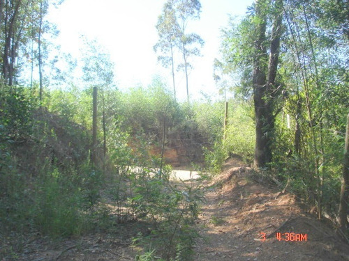 Imagen 16 de 21 de Camino Nonguen S / N , Sector Reserva De Nonguen Concepc...