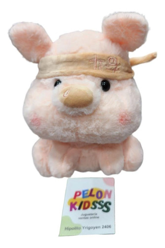 Peluche Cerdito Chanchito Sentado Kawai Kung-fu Ideal Regalo