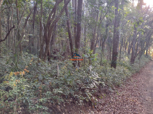 Imagem 5 de 6 de Terreno - Te00079 - 70044799