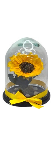 Bonito Girasol Mini Deshidratado En Capelo De Cristal.