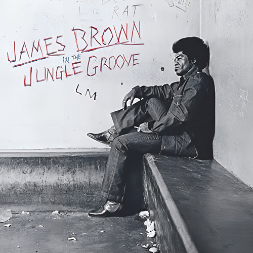 James Brown In The Jungle Groove Vinilo Lp Us Import