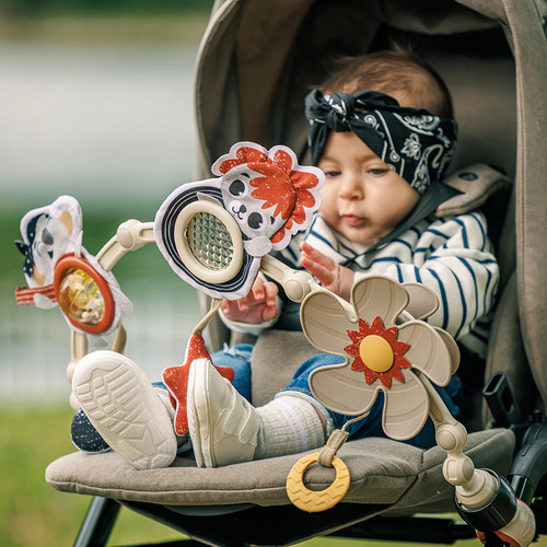 Arco Para Coche Tiny Rockers Tiny Love