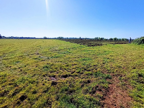 Terreno Agrícola De 6,8 Ha En Venta En San Clemente