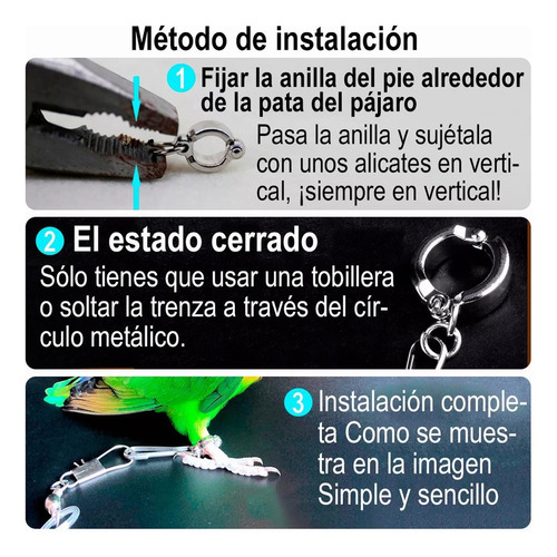 . 6 M Flexible Mascota Loro Pájaro Correa Arnés