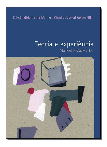 Libro Teoria E Experiencia Vol 26 De Carvalho Marcelo Wmf M