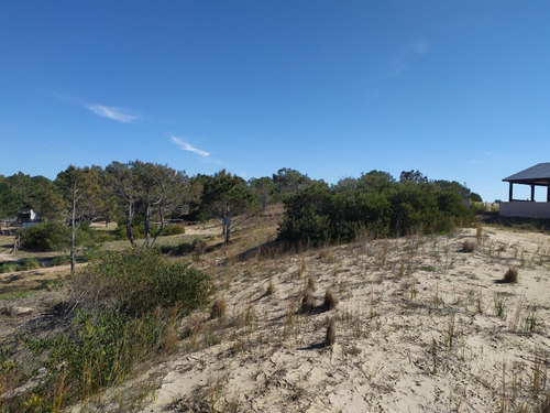Imagen 14 de 19 de Solar - En Venta En La Viuda Punta Del Diablo A 150m De La Playa - Mza 253