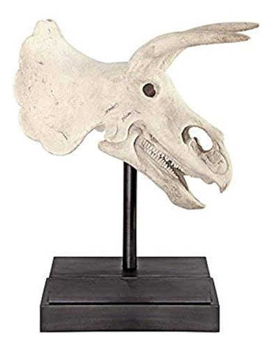 Diseño Toscano Ne867039 Estatua Fósil De Cráneo De Dinosauri