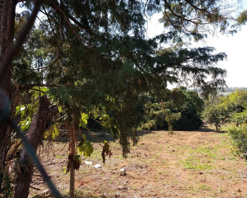 Imagem 8 de 12 de Vende-se Terreno Colinas Do Mosteiro De Itaici, Indaiatuba/sp - At. 2.500 M² - Tr02837 - 69476883
