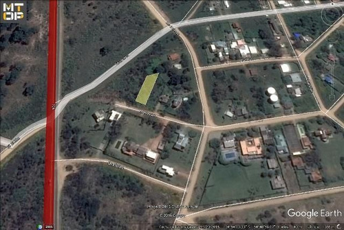 Lote | Merluzas