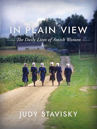 Libro:  In Plain View: The Daily Lives Of Amish Women