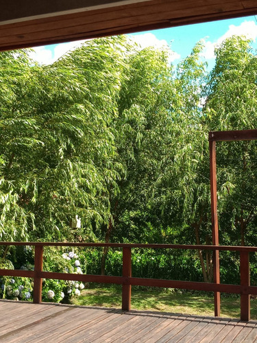 Casa En Venta Isla Delta 1ra Seccion Tigre. Toda De Material Ideal Vivienda Permanente, Fin De Semana O Alquiler. Tomo Permuta Casa 2 Ambientes Con Jardin Y Pileta Zona Pilar, Benavidez