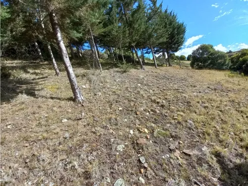 Venta De Lote Chivatá