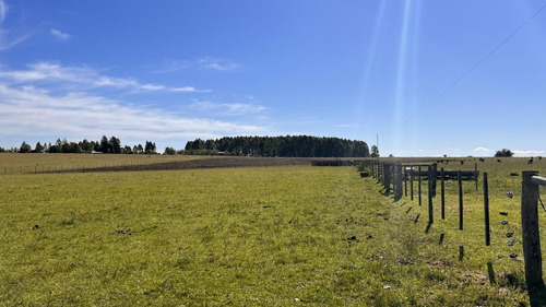 Imagen 10 de 30 de Campo Sobre Autopista Ruta 14 Colón Entre Ríos