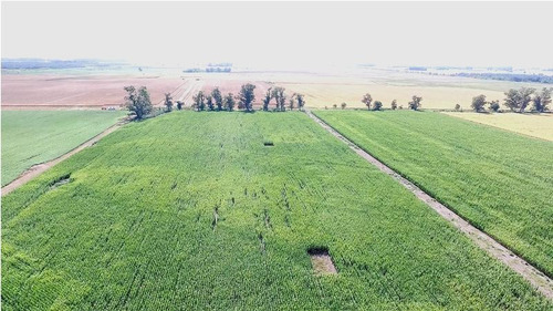 Imagen 6 de 13 de 960 Has En San Miguel Del Monte - 40 % Agricola - Excelente Unidad Mixta