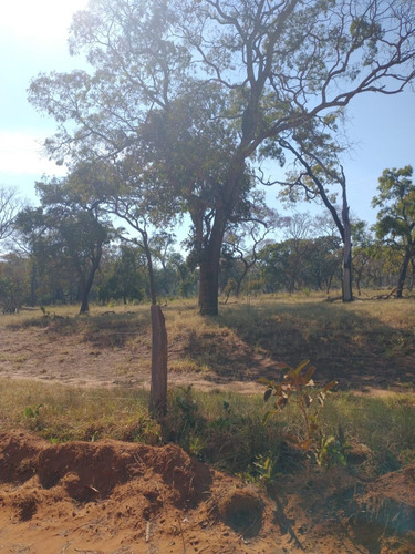 Imagem 2 de 13 de Fazenda Para Pecuária A Venda Na Região De Itapagipe / Campina Verde-mg, Com 57,5 Alqueirao, Benfeitorias Completas, Rio E Represa - Fa00395 - 70075361