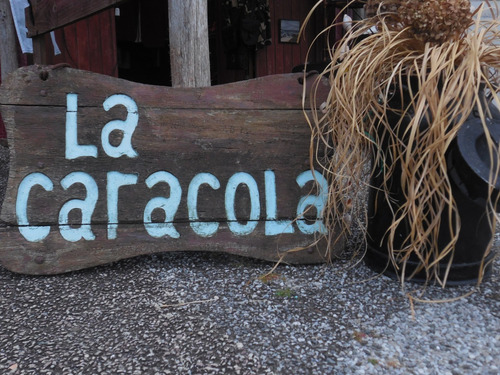 Imagen 3 de 11 de Caracoles Marinos