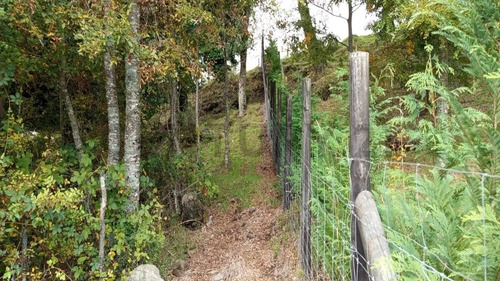 Parcela 5.000m2 | Sector Puquereo | Eje Freire-villarrica