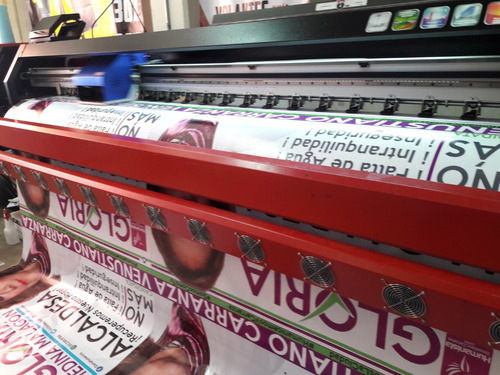 250 Vinil Microperforado Medallon Auto 50x30 Cms Campaña