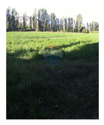 Oportunidad Parcela Camino Tierra Linda
