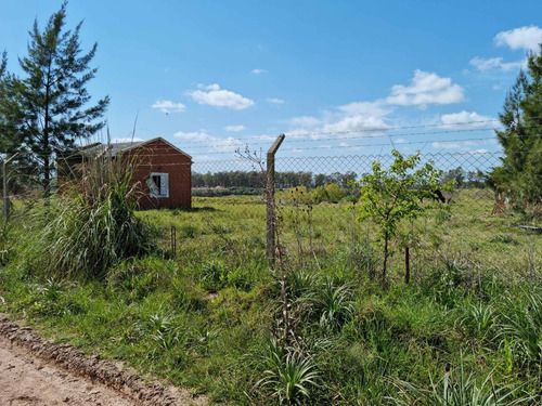Imagen 14 de 16 de Venta Campo Desarrollado 35,5 Hectareas Cañuelas