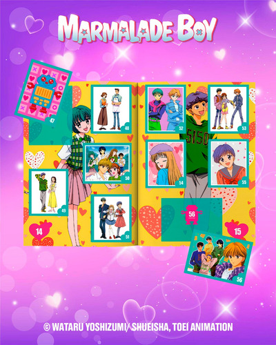 Mini Álbum Marmalade Boy (set Completo)