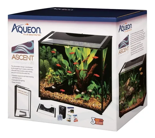 Aqueon ascent 2025