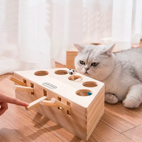 Carno cat top toy pop up