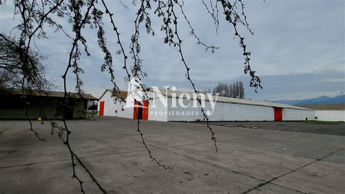 Bodega En Arriendo En Rengo