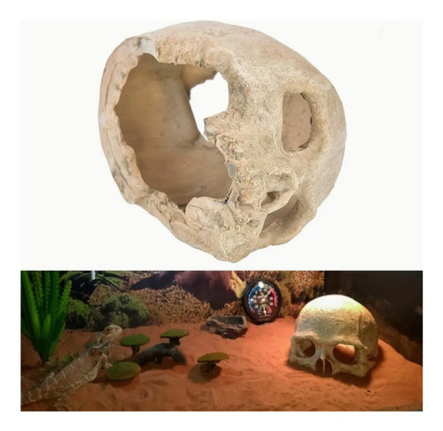 Cueva Escondite Cráneo Para Tarántulas Reptiles Y Acuarios
