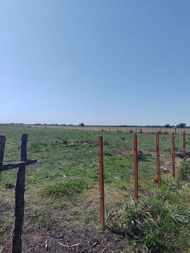 Imagen 4 de 11 de Campo - Talitas Gualeguaychu