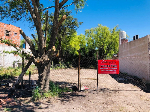 Imagen 1 de 7 de Lote De 300m2 En Barrio Los Tilos