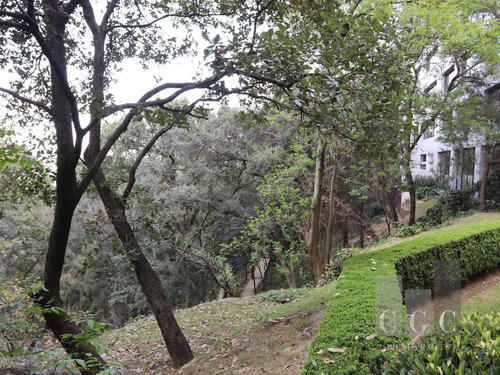 Vive En La Tranquilidad De Un Departamento Que Llamarás Hogar Con Vistas Verdes