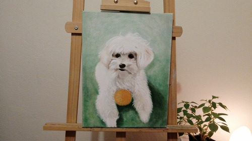 Pintura Por Encargo Mascotas Personalizada Lienzo 40x50cm
