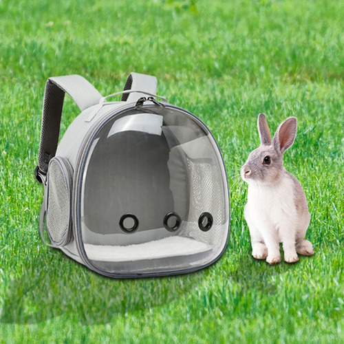 Mochila Para Gatos, Jaula Para Pájaros, Amplias Rejillas