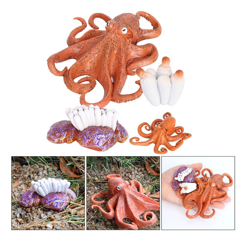 4 Del Ciclo De Vida De Un Pulpo, Insectos Plástico Pulpo