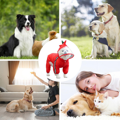 Impermeable Para Perros Con Capucha Impermeable Para Perros