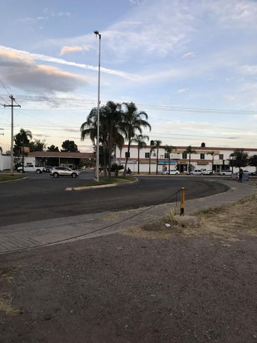 Imagen 4 de 8 de Terreno Comercial En Renta, Ubicado Al Sur De La Ciudad.