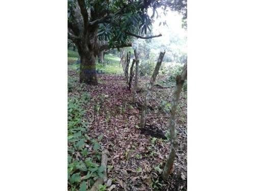 Imagen 4 de 11 de Terreno En Venta Carr. Costera Del Golfo Km. 149.5 Catemaco Veracruz 5000 M². Puede Fraccionarse Dependiendo De Las Necesidades Del Interesado,el Precio Por Metro Cuadrado Es De $500.00 Pesos. Está U
