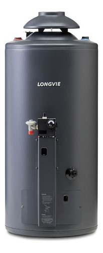 Termotanque A Gas Longvie Potenciado Tp860ar-n Grafito 56l