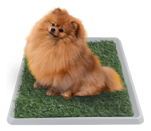 Tapete Entrenador Para Perro Xch 50 X 40 Cm Doggie Grass