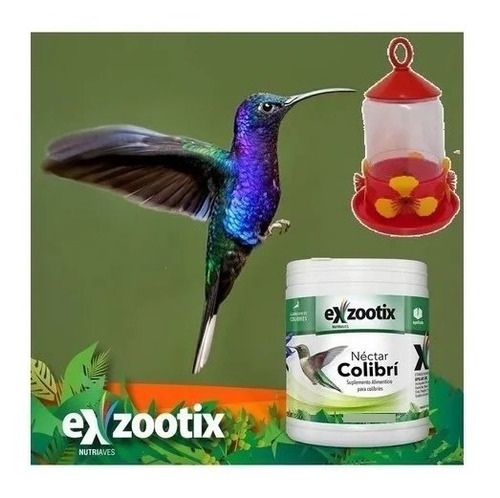 Imagen 4 de 6 de Alimento Nectar Para Picaflor Colibri Exzootix 300g Comedero